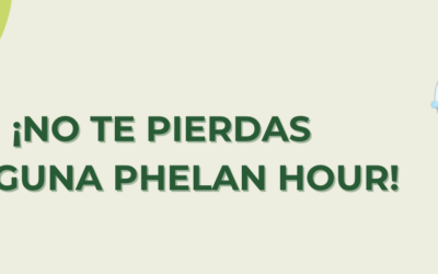 Phelan Hour: conoce nuestra charlas didácticas online
