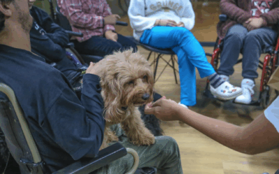 Terapia con perros gracias a DOGKING y FEDER
