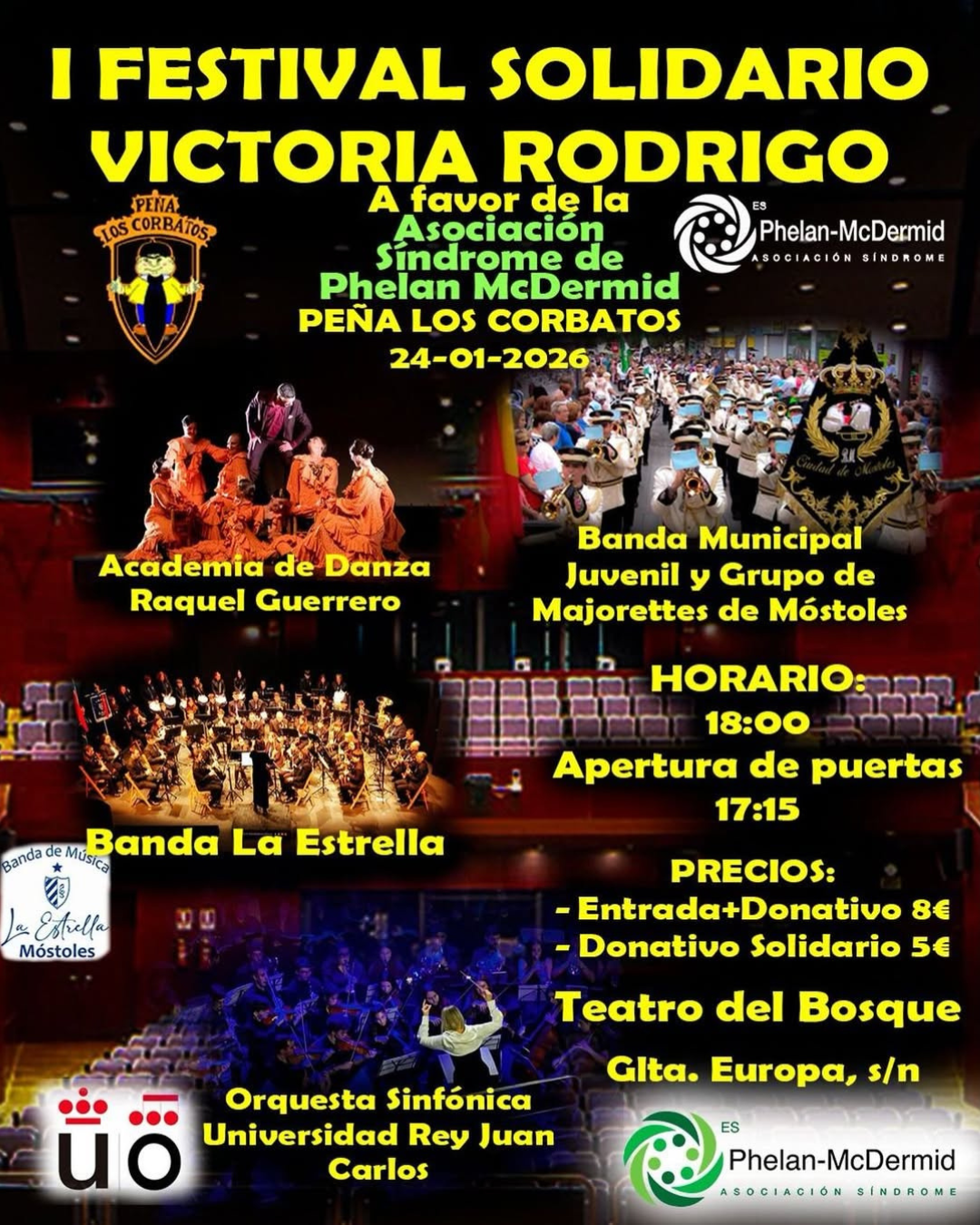 Festival Solidario Victoria Rodrigo en favor de la ASPM