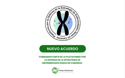 Formamos parte de la Plataforma por la Defensa de la Estrategia de EERR en Canarias
