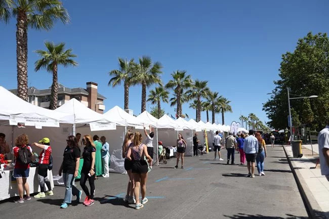 XIV Feria de Asociaciones de Boadilla